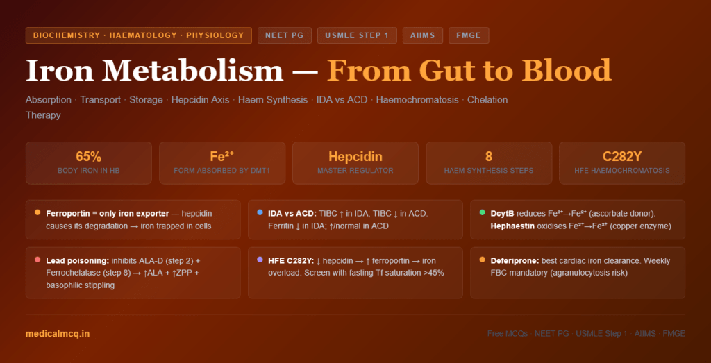 Iron Metabolism — Complete Guide for NEET PG, USMLE & AIIMS | Absorption, Transport, Storage, Regulation & Clinical Disorders