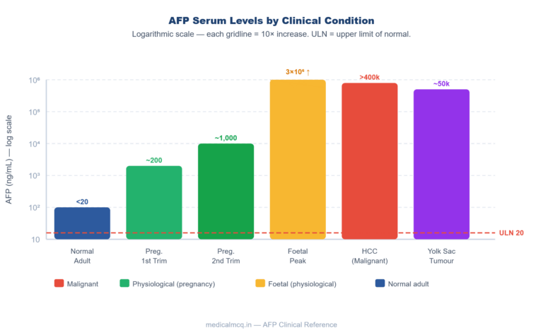 AFP — Biochemistry & Normal Physiology